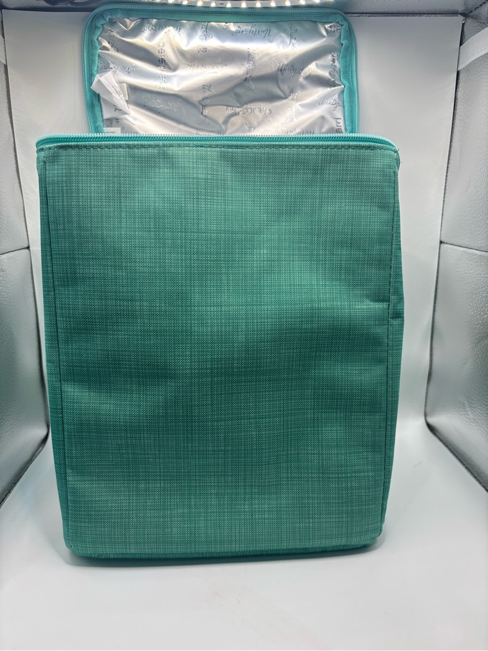 thirty-one Teal Insulated Garment Storage Bag
